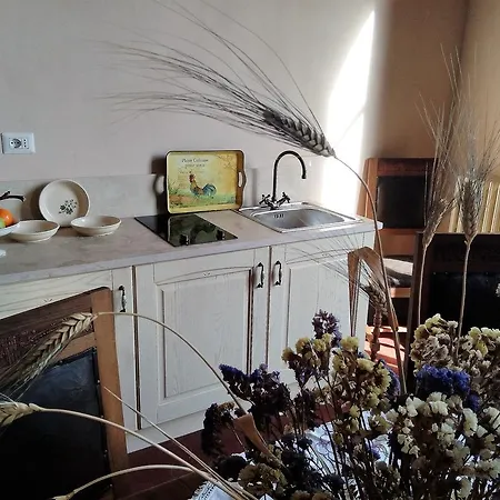 Apartman Mascagni *